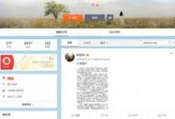 各种网络视频爆料,热点事件背后的真相与争议
